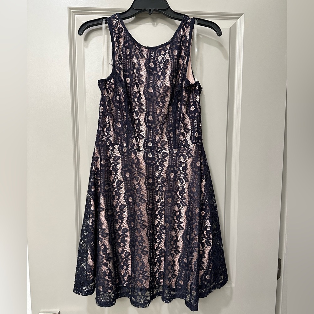 Navy Lace and Light Pink Dress